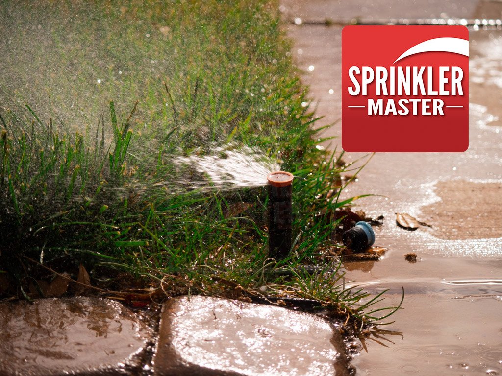 sprinkler head having issues