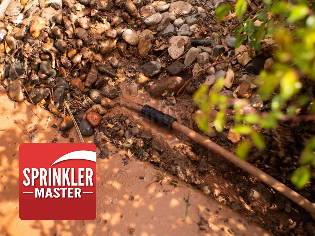 sprinkler services near denver drip irrigation
