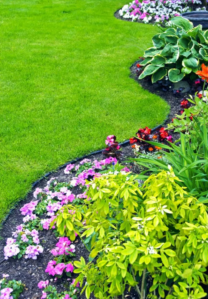 beautiful lawn watered with automatic sprinkler system